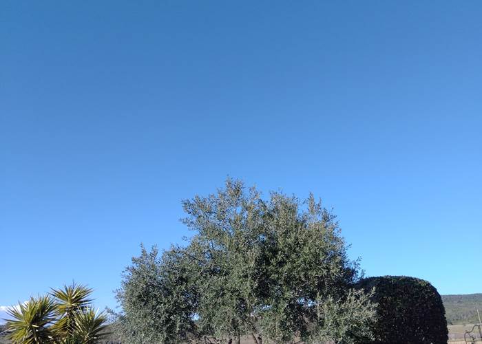 Le printemps est de retour au gîte et chambres d'hôtes "Le Coq du Nord Mailhac"