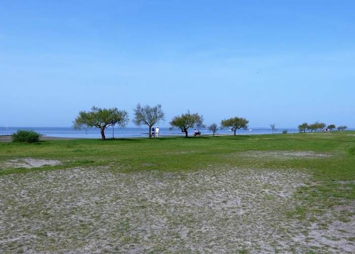 sentier du littoral Lanton àproximité de Locaplge