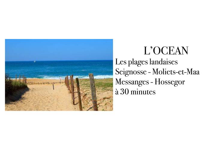 l'océan