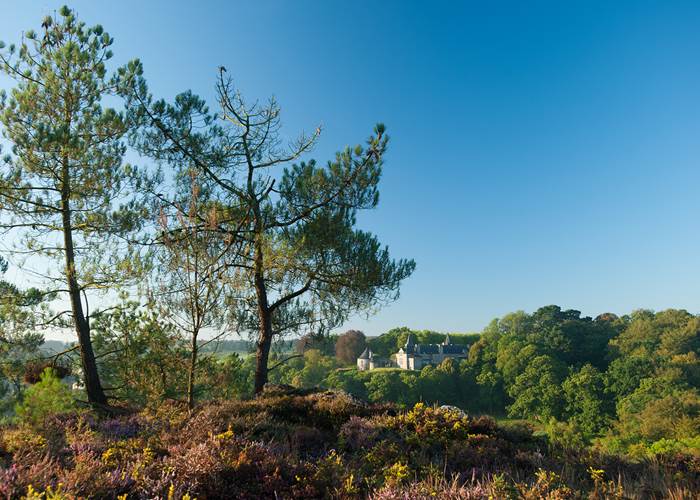 Les Landes La Nature