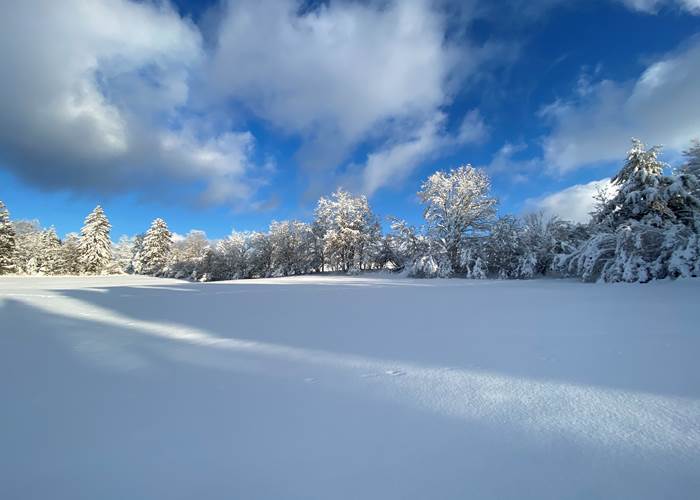 Randonnée dans les Vosges-page
