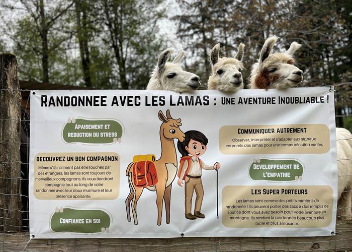Des activitées adaptées