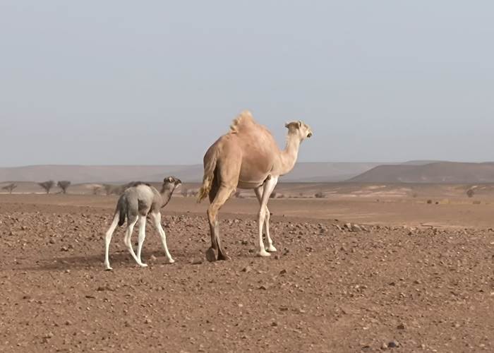 IMG-20250813-WA0007
