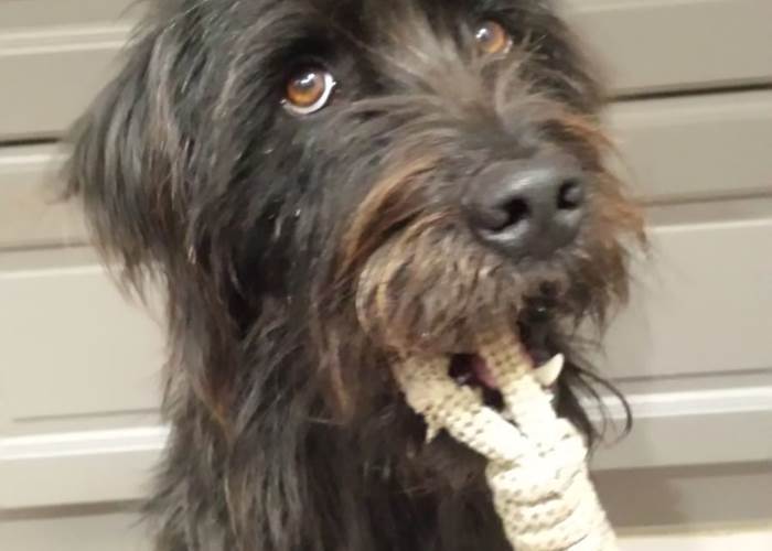 JJe me présente, je m'appelle Nouba-page