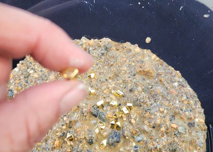 Pépites d'or , rampe d'orpaillage