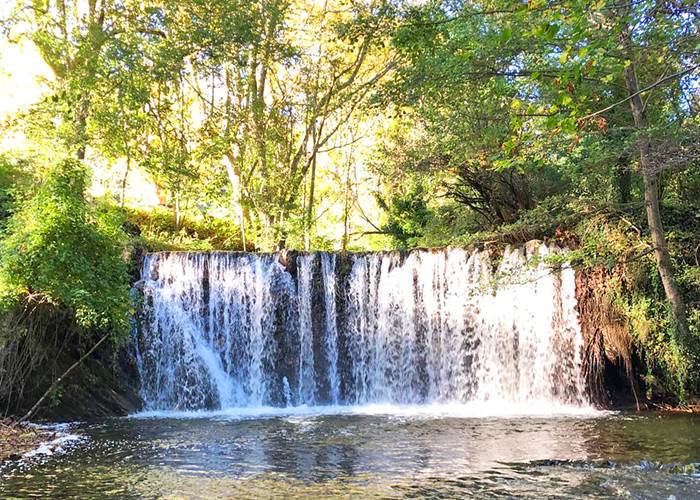 A 10 minutes de Cosy Nature, la petite cascade de la Vis-page