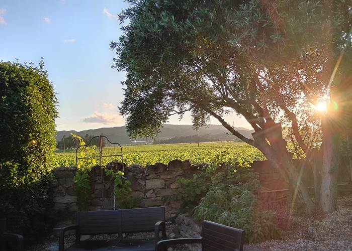 Lever de soleil à Le Coq du Nord-Mailhac