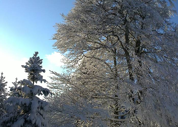 Soleil d'hiver dans le Monts de la Madeleine