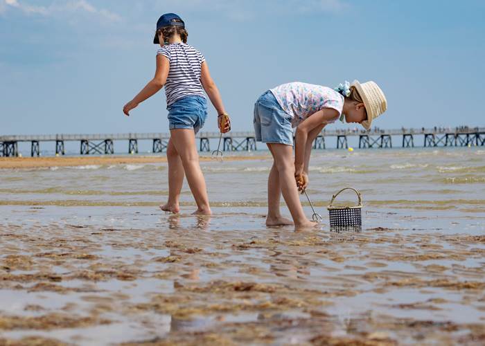 pêche aux pignons estacade st jean de monts
