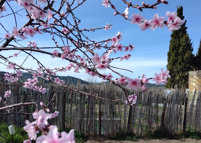 Venez admirer la nature qui se réveille