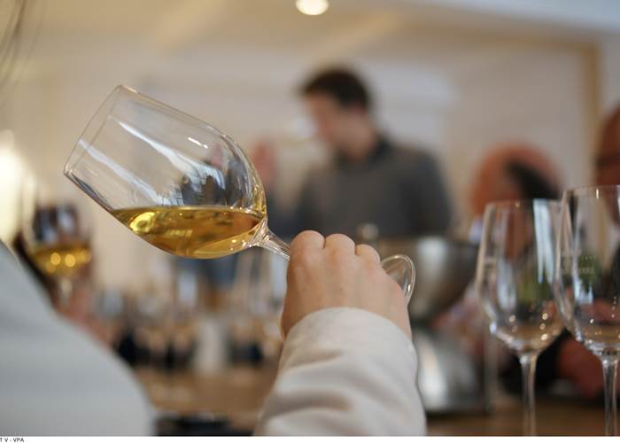 Dégustation Vin. Copyright.7725--GILLET_V_-_VPA-1600px