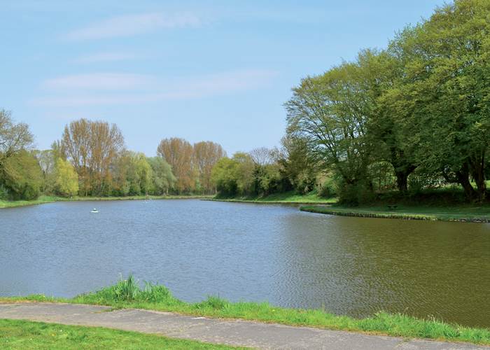 Etang de la Cafenière
