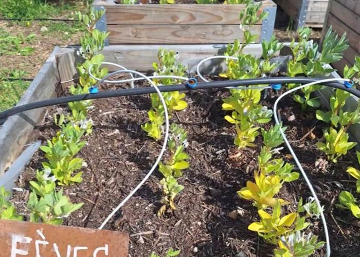 Verger et potager bio