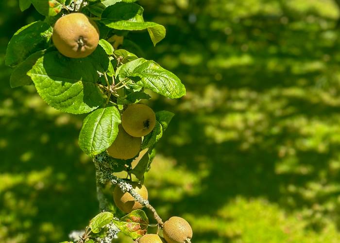 profiter du cadre bucolique de la demeure du Porzou