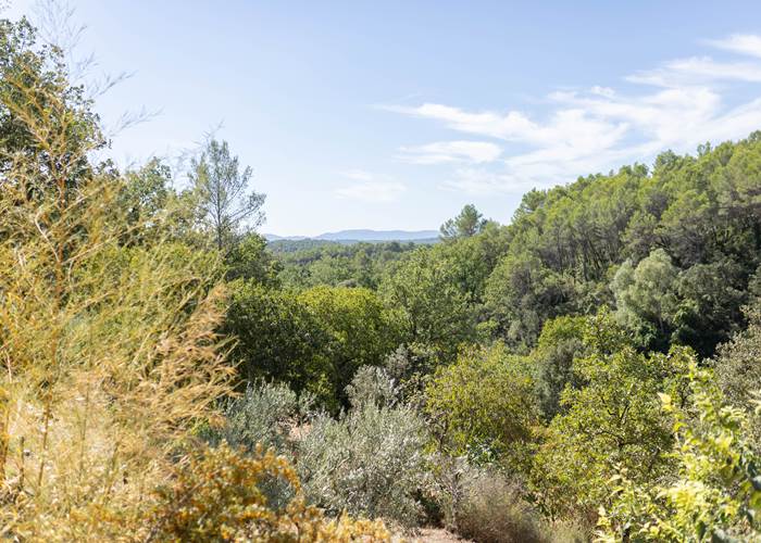 Activités Nature à Flayosc dans le Var et La Provence