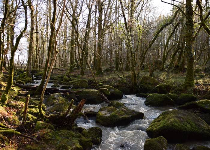 Le ruisseau et les Rochers de l’Isop
