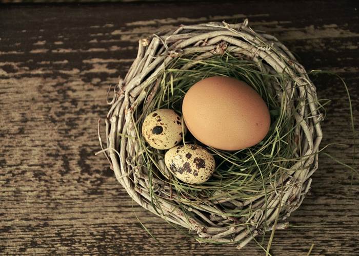 egg-1272815_960_720