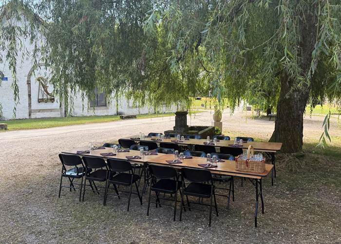 Accueil de groupe, sous le saule pleureur