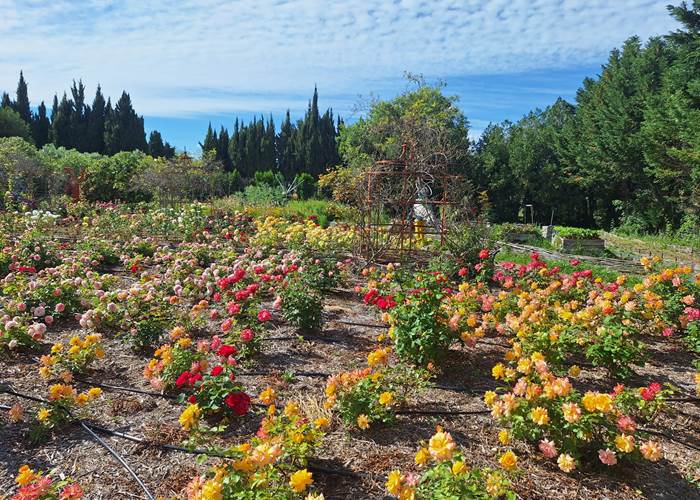 Jardin d'Alcinoos