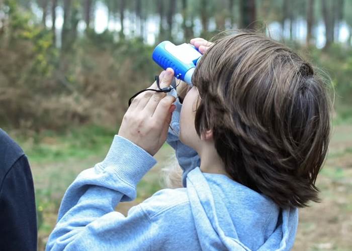 Exploration inspirée d'une légende landaise