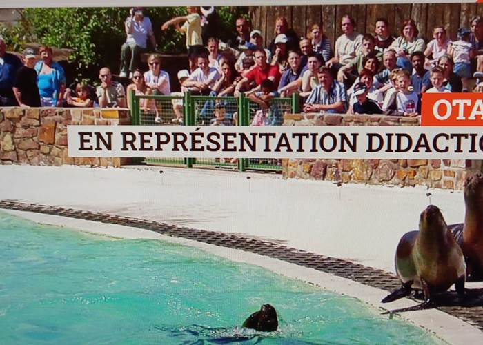Le Monde Sauvage
