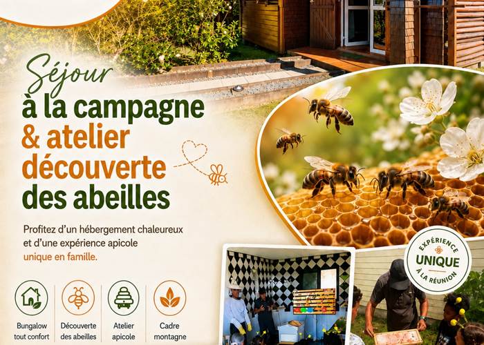 Sans titre