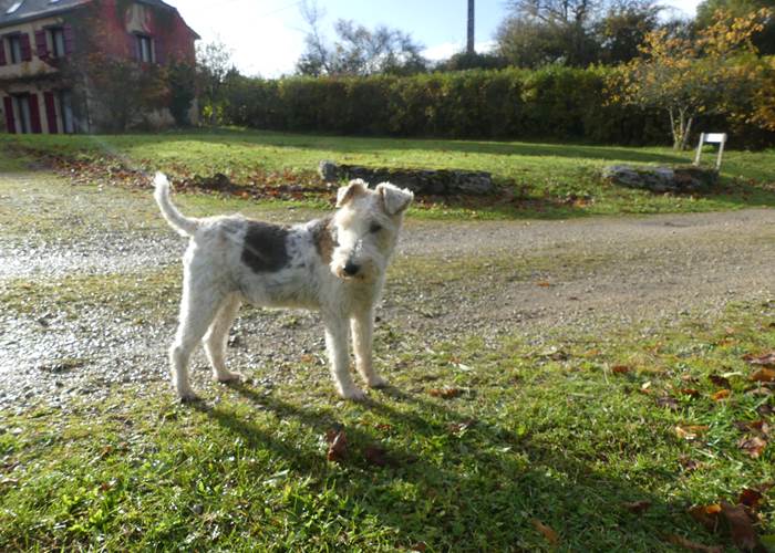 Gélyne Gravier Gramat