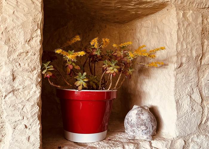 Niche mur de pierres_La Cavalerie