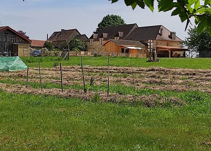 Notre potager et son paillage-page
