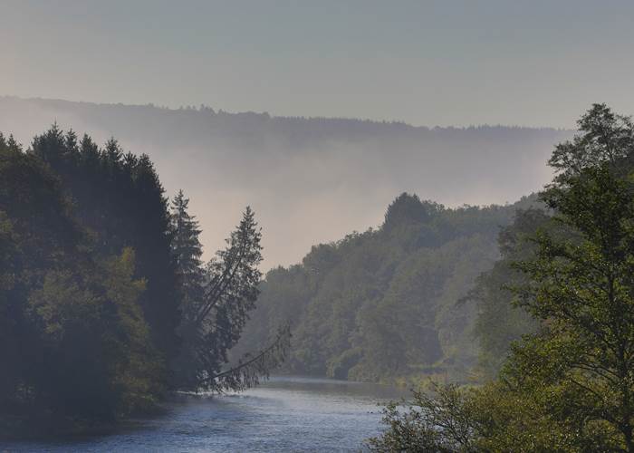 Brume sur la Semoy