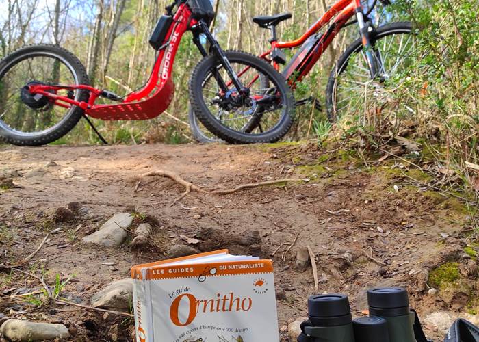 Trotinette électrique avec BigupCycling