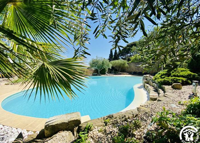 Piscine privée partagée avec tous nos hôtes