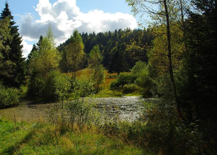 lac dans le massif des vosges