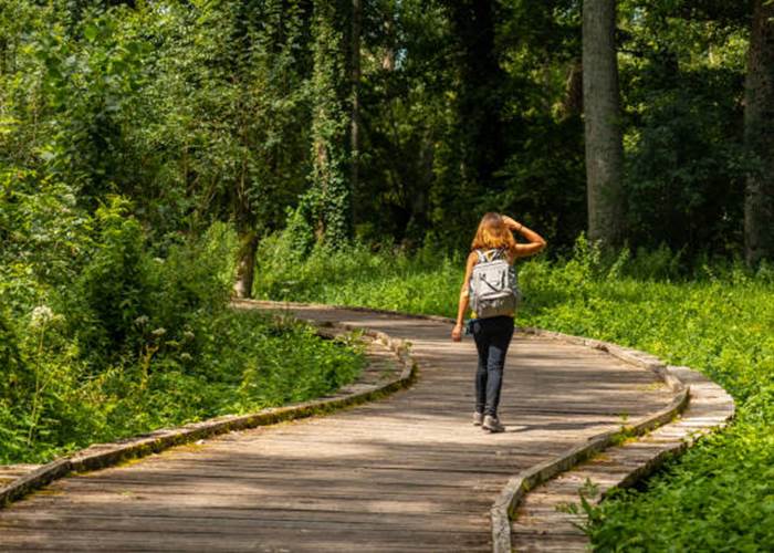 Randonnée-Marais Poitevin-Niort-Séjour