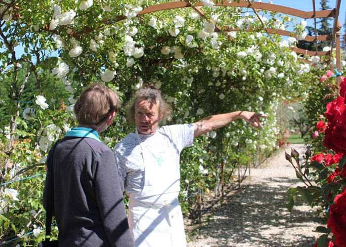 Cours de cuisine au mas des figues