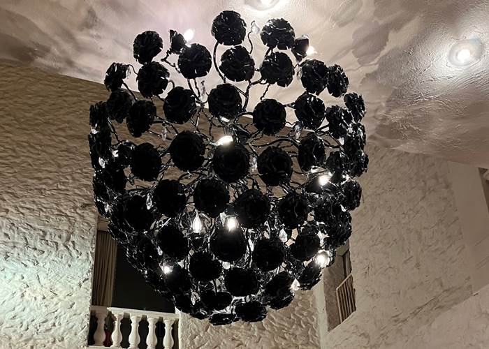 Le bouquet de camélias noires