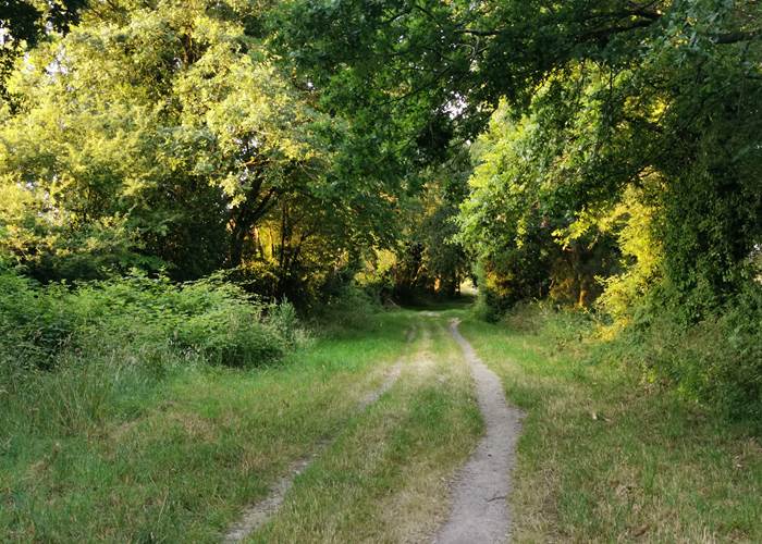 Chemin de la croix Durand, Orvault