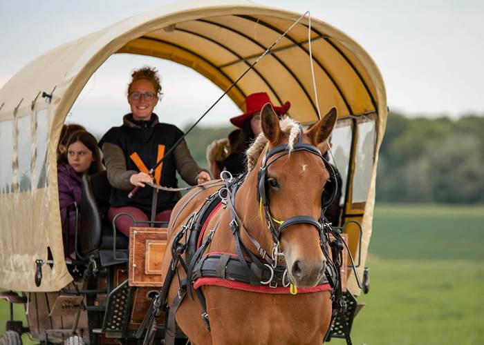 calèche-cheval-monitrice