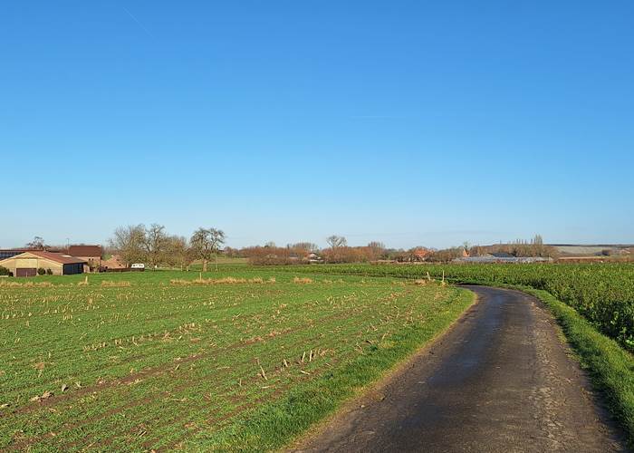 Au fil de la promenade