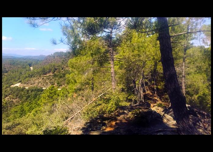 Le chemin aux alentours de St Jean du Gard