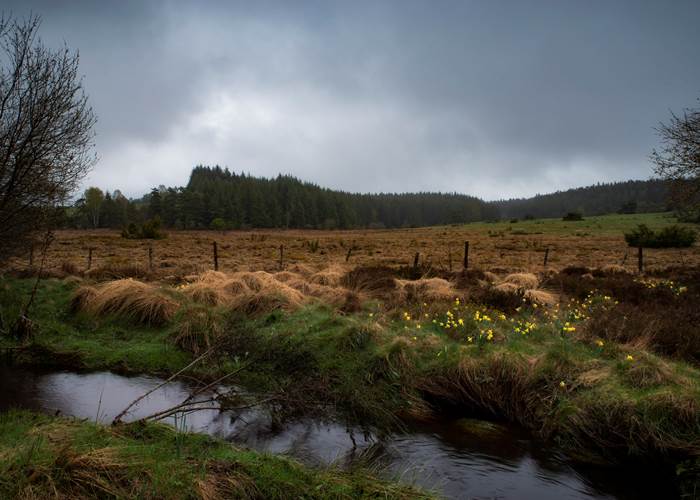 Le Plateau de Millevaches