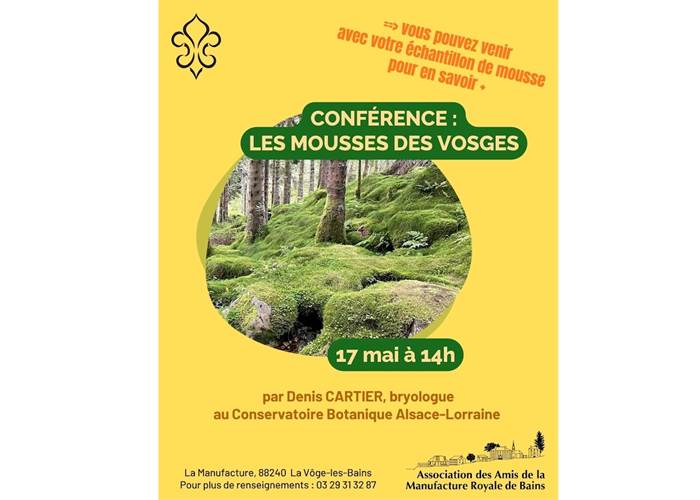 Conférence sur les Mousses des Vosges, par Denis Cartier