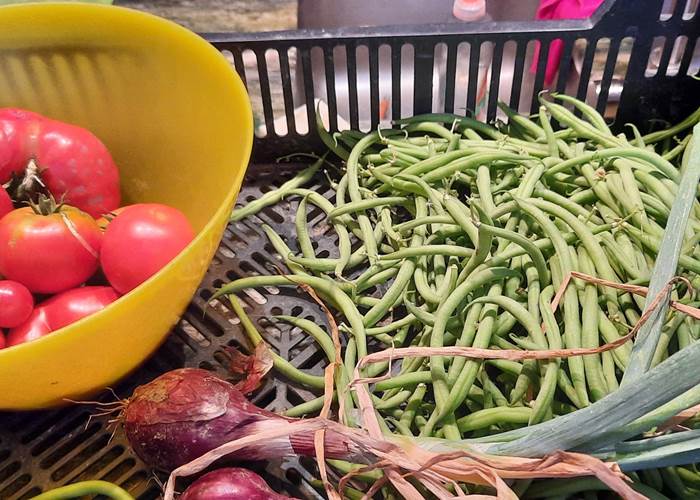 Légumes du potager "Le Coq du Nord -Mailhac"