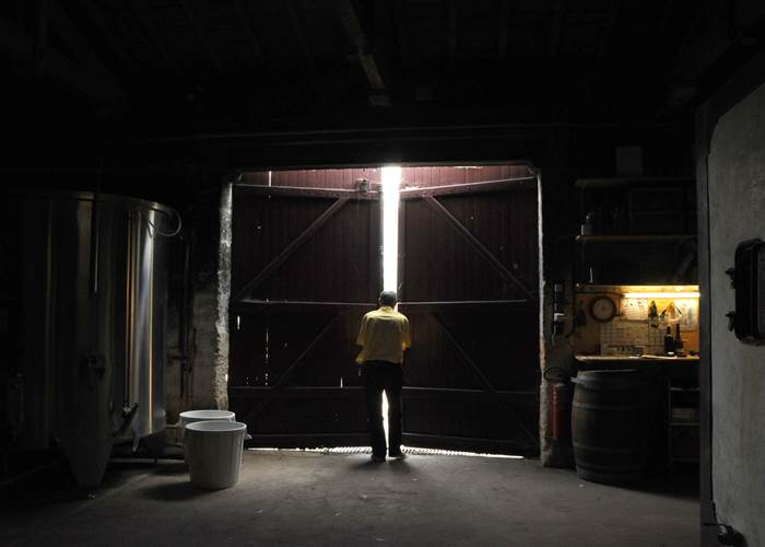 Vignoble, Bio, Biodynamie, Nature, Vins, Domaine, Visite, Dégustation