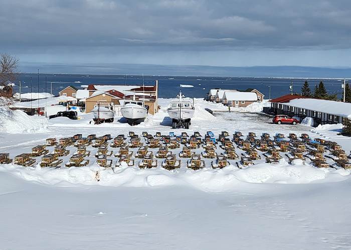 477270028_1804635780321707_4306093632345681990_n