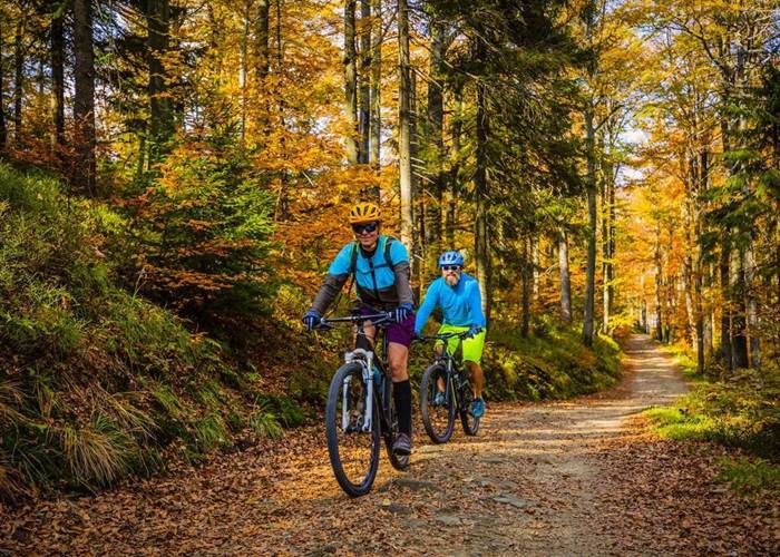 Dévaler les sentiers en VTT