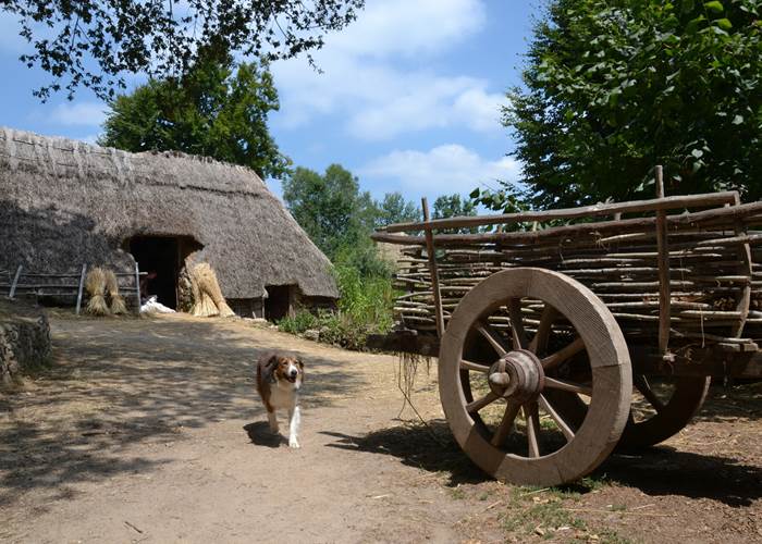 Les fermes du Moyen-Âge en Xaintrie