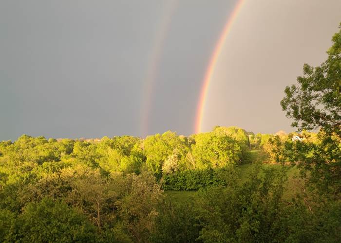 Vue sur la nature