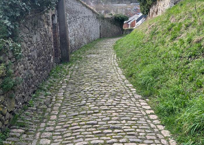 Totemus - ruelles médiévales à Thuin