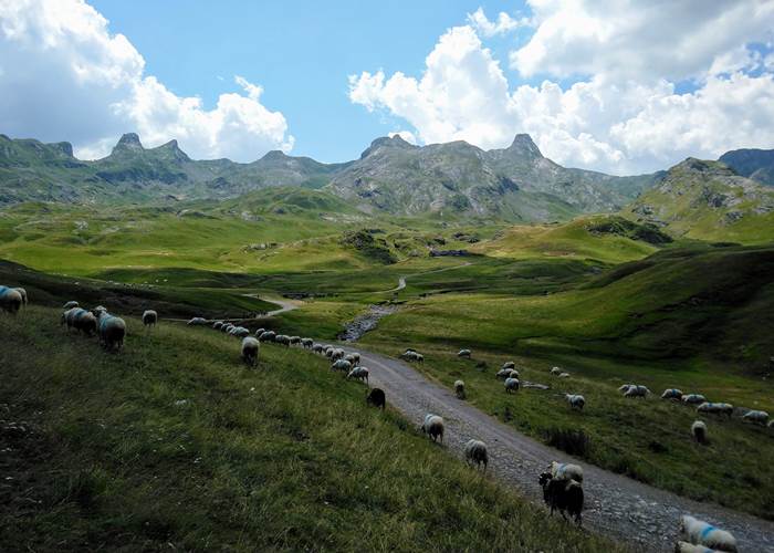 Vallée de Barétous France accueil chevaux accueil cavaliers